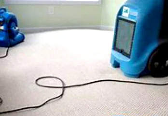 Sunshine-Coast-Carpet-Cleaners-3