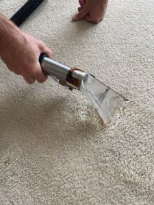 perofessional carpet cleaning to remove spot from carpet